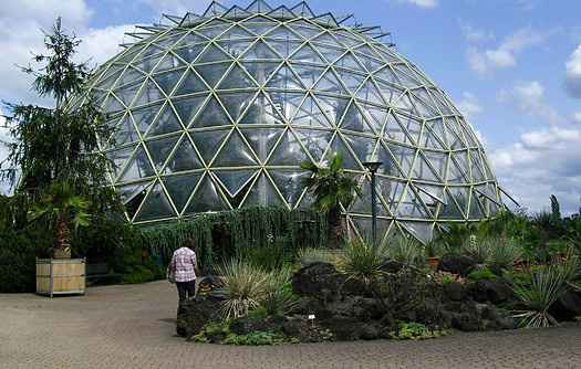 Auszeit im Botanischen Garten Düsseldorf