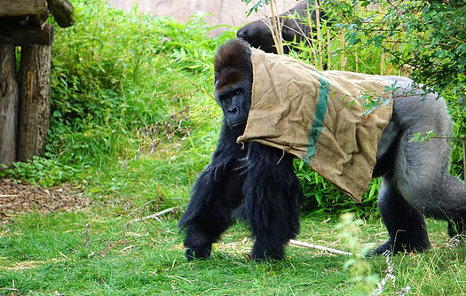 Ein Besuch im Zoo Krefeld